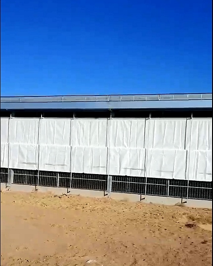 荔枝视频在线观看免费最新卷帘